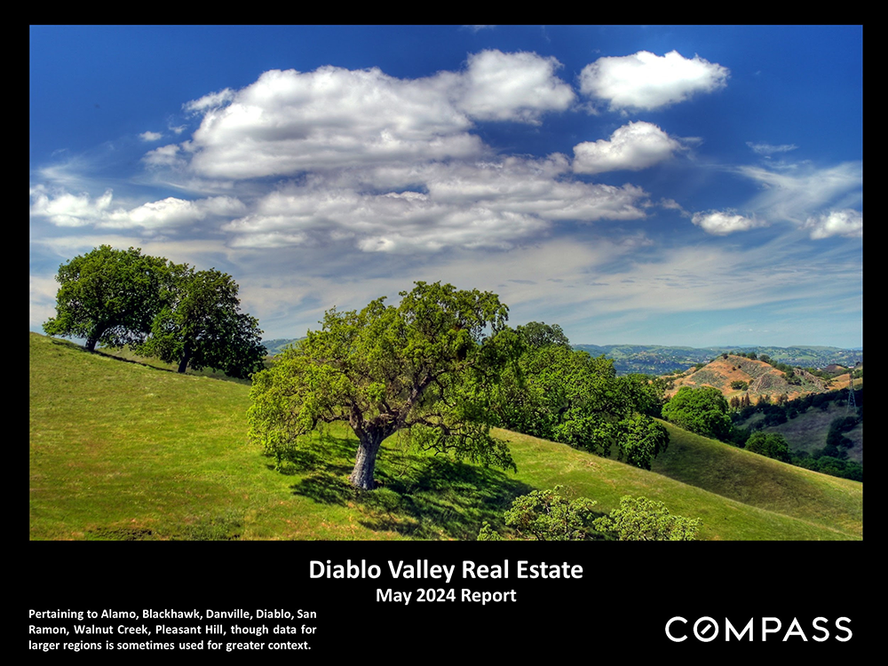 01-diablo valley report-may 2024