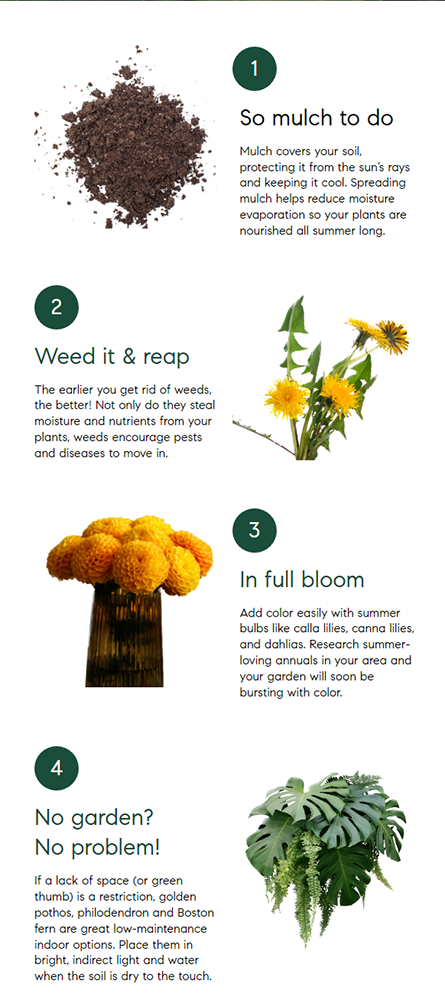 garden tips