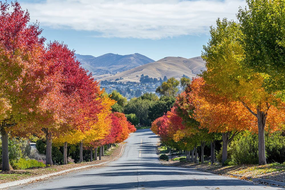 mt diablo autumn 2